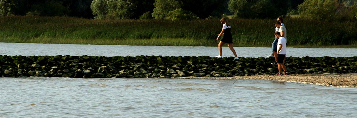 Bild familienplaung-und-schwangerschaft.png